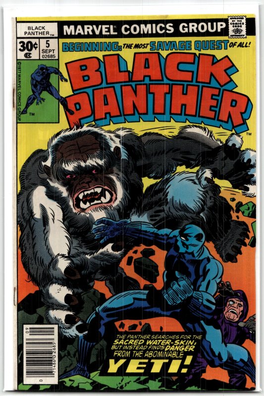 Black Panther #5 (Marvel Comics, 1977), raw, ungraded comic book — front cover
