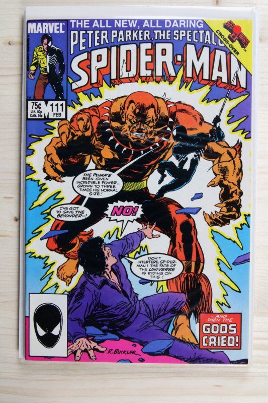 Peter Parker, the Spectacular Spider-Man #111 (Marvel Comics, 1986), raw comic book in VF/NM 9.0 condition — front cover