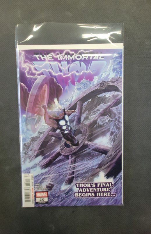 The Immortal Thor #20 (Marvel Comics, 2025), raw, ungraded comic book — front cover
