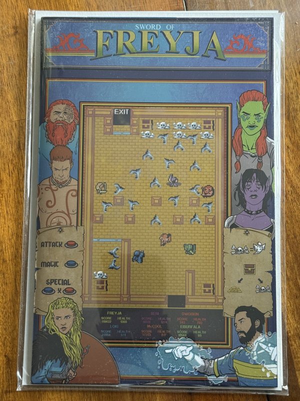 Sword of Freyja #1 (2022), raw comic book in NM+ 9.6 condition — front cover