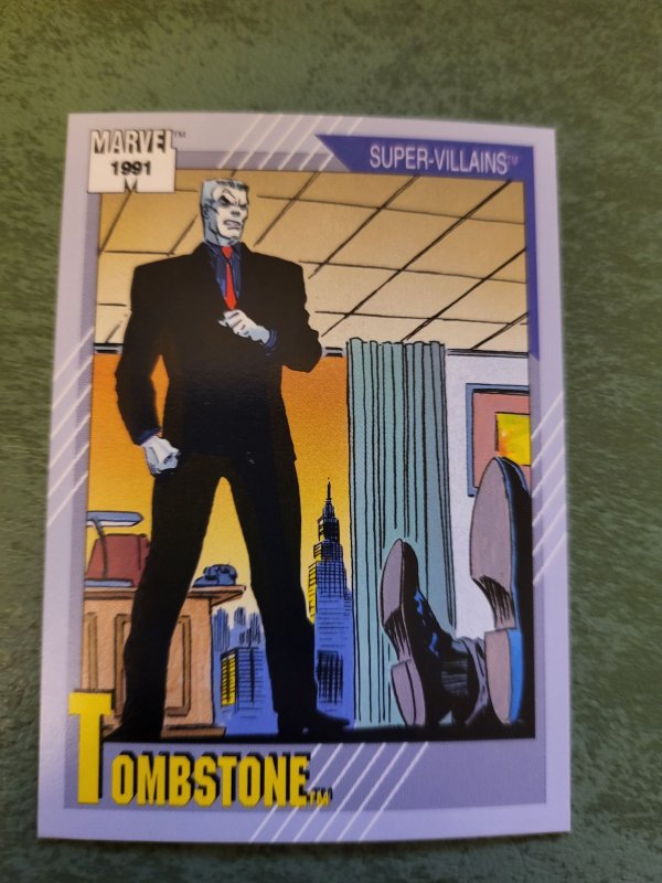 1991 Marvel Universe #67 (1991), raw, ungraded comic book — front cover
