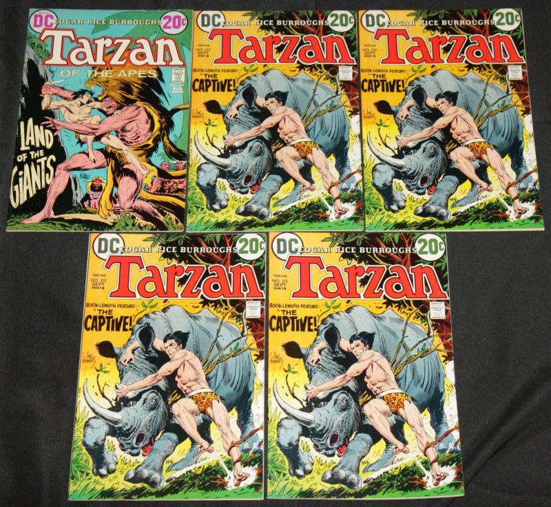 DC Bronze Age Tarzan 44 Mid-High Grade Comic Lot Fn-Nm Many Joe Kubert art (DC Comics), raw comic book in NM condition — front cover