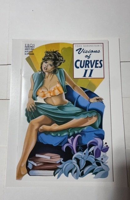 Todd Borenstein's Visions of Curves #2, raw comic book in NM condition — front cover