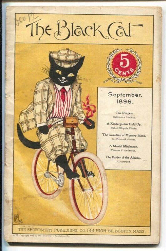 Black Cat #12 (Harvey Comics), raw, ungraded comic book — front cover