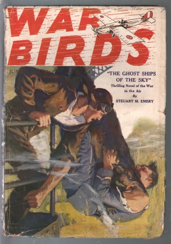 Pulp: War Birds 6/1929-Dell-Riesenberg Cover-Steuart M. Emery-WWI Pulp-G, raw, ungraded comic book — front cover