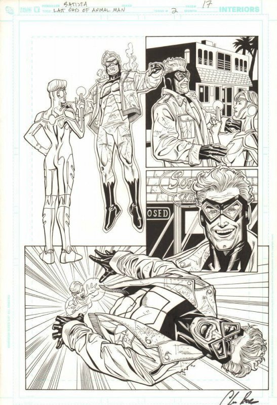 Last Days of Animal Man #2 (2009), raw, ungraded comic book — front cover