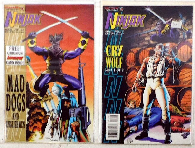 Ninjak Lot of 2 #13, 14 (1995) Valiant Comics 1st Print Comic Books (Valiant Comics, 1995), raw, ungraded comic book — front cover