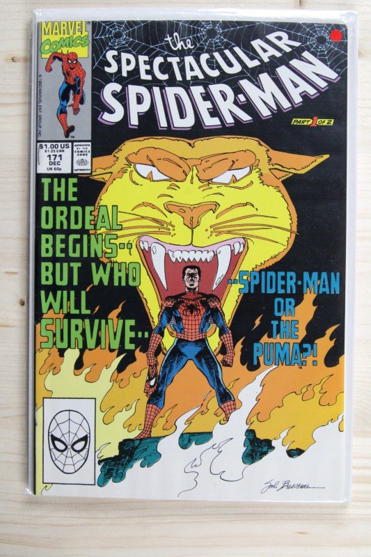The Spectacular Spider-Man #171 (Marvel Comics, 1990), raw comic book in NM- 9.2 condition — front cover