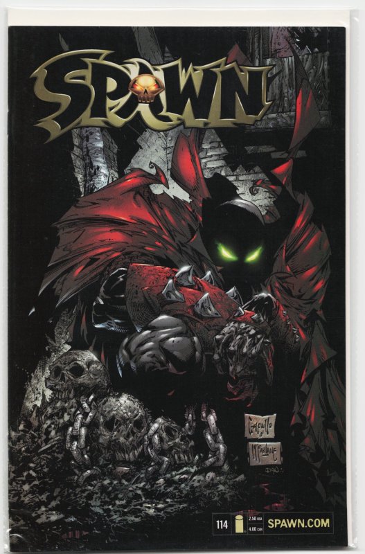 Spawn #114 (Image Comics, 2002), raw, ungraded comic book — front cover
