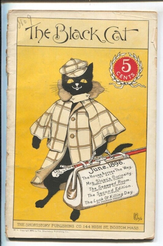 Pulp: Black Cat #9, raw, ungraded comic book — front cover