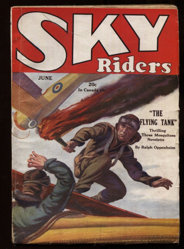 Pulp: SKY Riders June 1930-AIR Adventure STORIES-Rare Pulp Magazine (1930), raw, ungraded comic book — front cover
