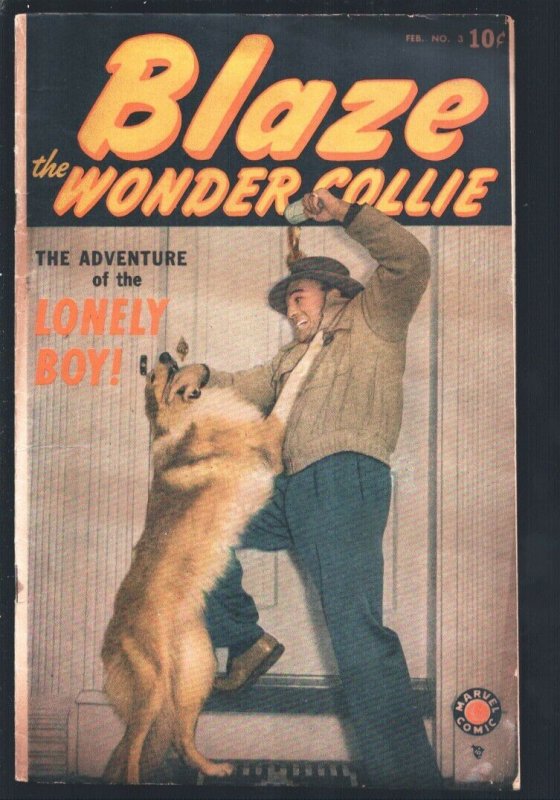 Blaze the Wonder Collie #3 (1950), raw, ungraded comic book — front cover