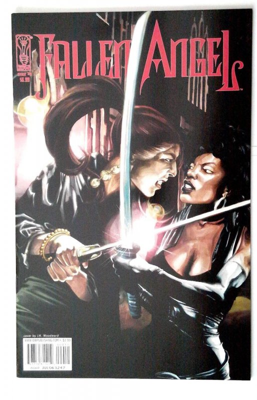 Fallen Angel #9 (IDW Publishing, 2006), raw comic book in NM 9.4 condition — front cover