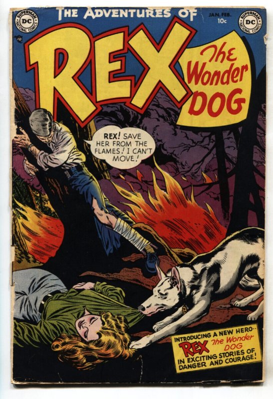 Adventures of Rex the Wonder Dog #1 (DC Comics, 1952), raw, ungraded comic book — front cover